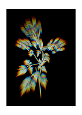 Prism Shift Hemlock Flowers Botanical Illustration