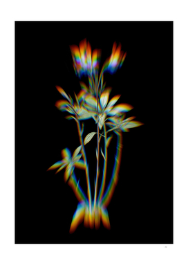 Prism Shift Lily of the Incas Botanical Illustration
