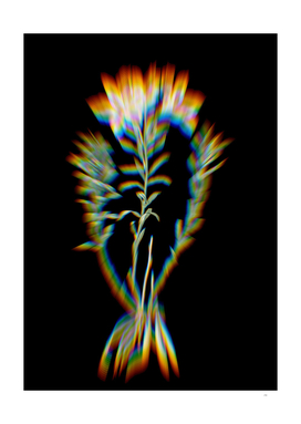 Prism Shift Lily of the Incas Botanical Illustration