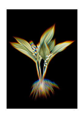 Prism Shift Lily of the Valley Botanical Illustration