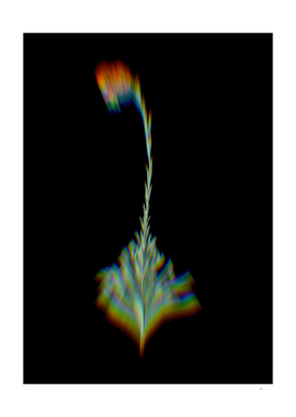 Prism Shift Scarlet Martagon Lily Botanical Illustration