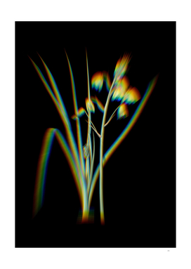 Prism Shift Slime Lily Botanical Illustration on Black