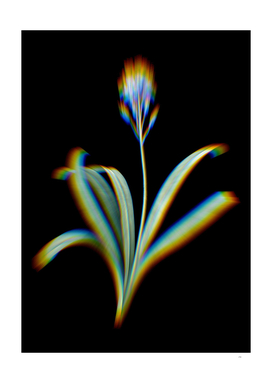 Prism Shift Spanish Bluebell Botanical Illustration