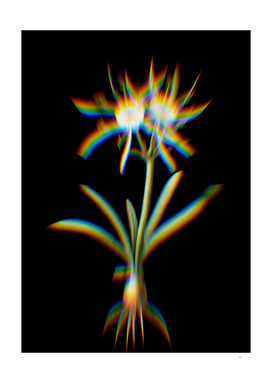 Prism Shift Streambank Spiderlily Botanical Illustration