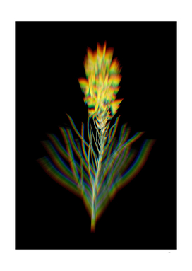 Prism Shift Yellow Asphodel Botanical Illustration