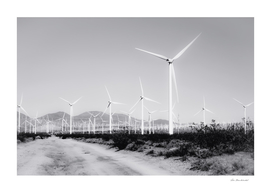 wind turbine and desert view in black and white