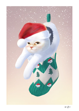 Kitten in Christmas Stocking