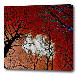 Red Meditative Power of Trees