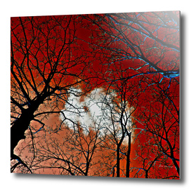 Red Meditative Power of Trees