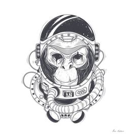 monkey astronot