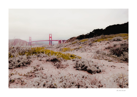 At Golden Gate bridge San Francisco California USA
