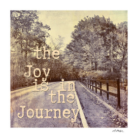 Joy  in the Journey