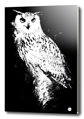 Nocturnal Wisdom Owl Design