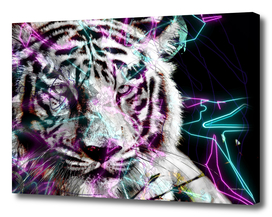 Tiger White tiger Colored Neon Street Art