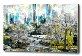 Central park New York - Cities Street landscapes