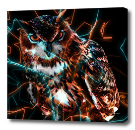 Owl Animals Nature - Electric Neon