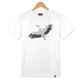 Aves White stork color