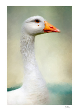 Goose with Beauty Spot