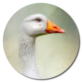 Goose with Beauty Spot