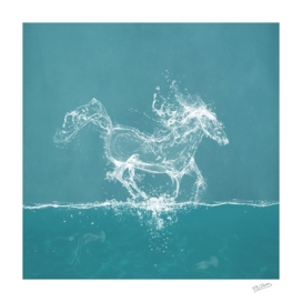 Water Horse