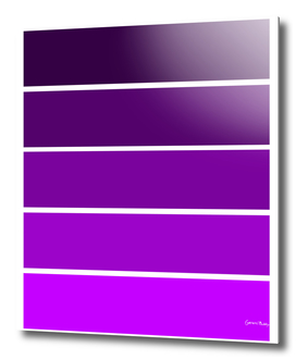 Colour Bars - PURPLE