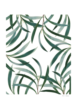 Eucalyptus Branch Delight Pattern #1 #foliage #decor #art