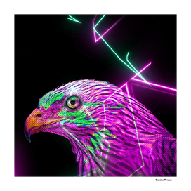 Eagle Animals nature Colored Neon Electric Street Art