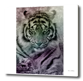 Tiger line art