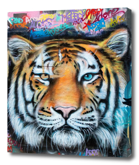 tiger street art