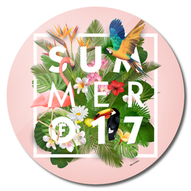 SUMMER of 2017