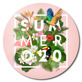 SUMMER of 2020