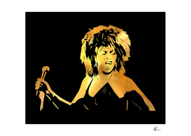 Tina Turner | Gold Series | Pop Art