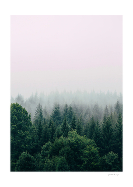 The Fog And The Forest I