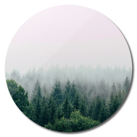 The Fog And The Forest I