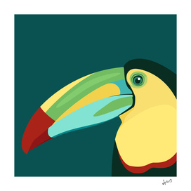 The toucan