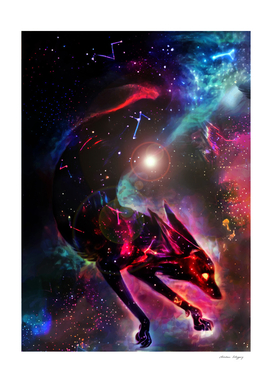 Cosmic Fox Constellation