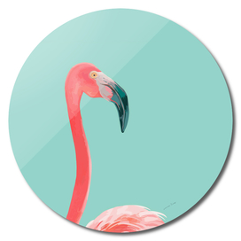 Flamingo In The Sky