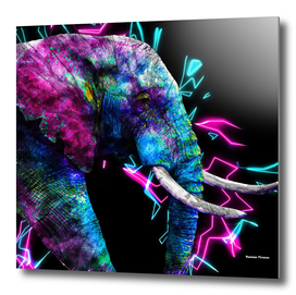 Elephant Animals Nature - Colored Electric neon