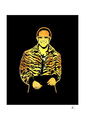 Elton John | Gold Series | Pop Art