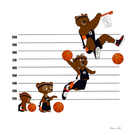 Basketball Evoltion