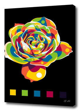 The Colorful Rose Flower