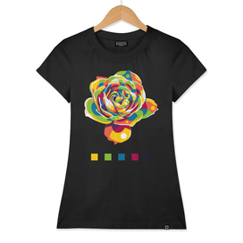 The Colorful Rose Flower