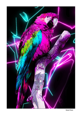 Parrot Animal Nature Colored - Neon