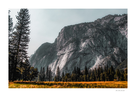 mountain with pine tree at Yosemite national park California