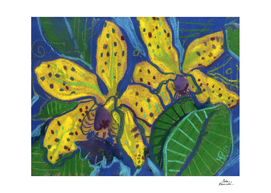 Yellow Orchid Tropical Flowers Floral Pastel Sketch