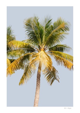 Palm Tree Cali Summer Vibes #1 #tropical #wall #art