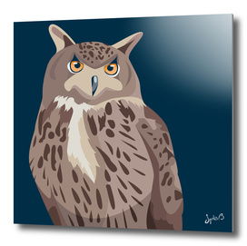 The owl