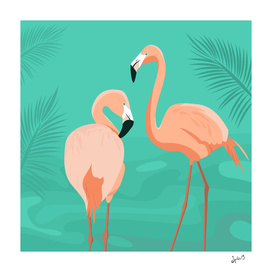 The flamingo
