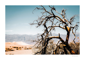 Desert landscape at Death Valley national park, California