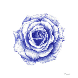 Ballpoint Blue Rose